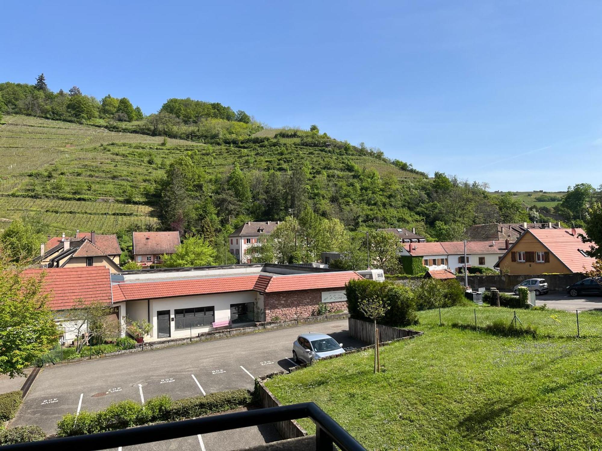 L'Aiglon Apartment Ribeauville  Exterior photo